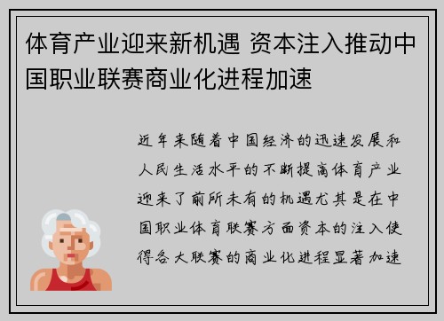 体育产业迎来新机遇 资本注入推动中国职业联赛商业化进程加速